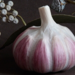 knoblauch_etc